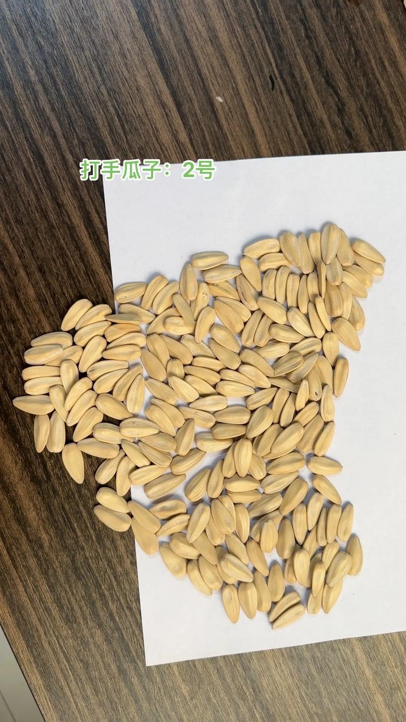 自家工厂生产 #葵花籽 #厂家 #好货#脱皮瓜子 追光的人 - 抖音